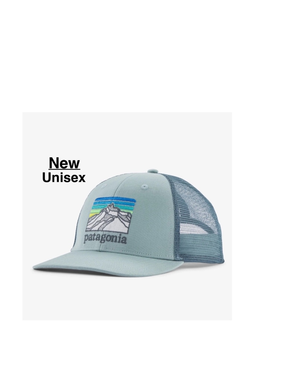 NEW PATAGONIA LINE LOGO RIDGE LOPRO TRUCKER HAT thermal blue & Tag Unisex ⭐️